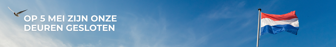 5mei-desktop.png